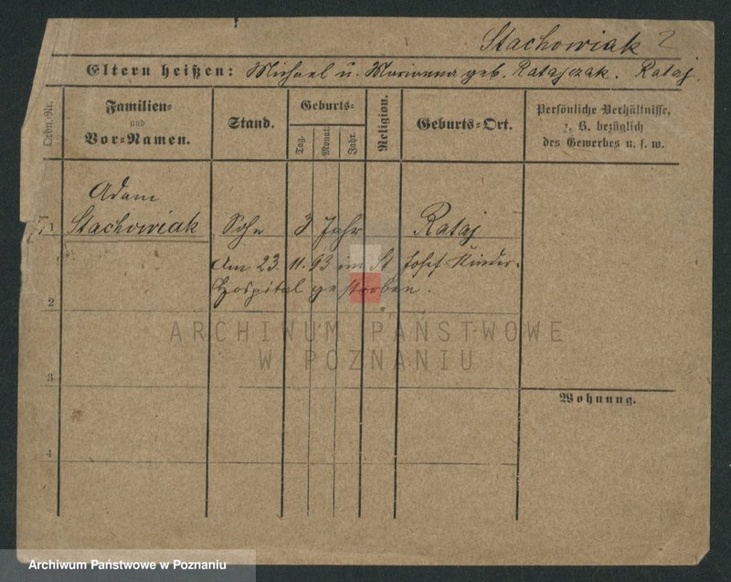 Obraz 6 z jednostki "Stachowiak (samotni mężczyźni i kobiety)"