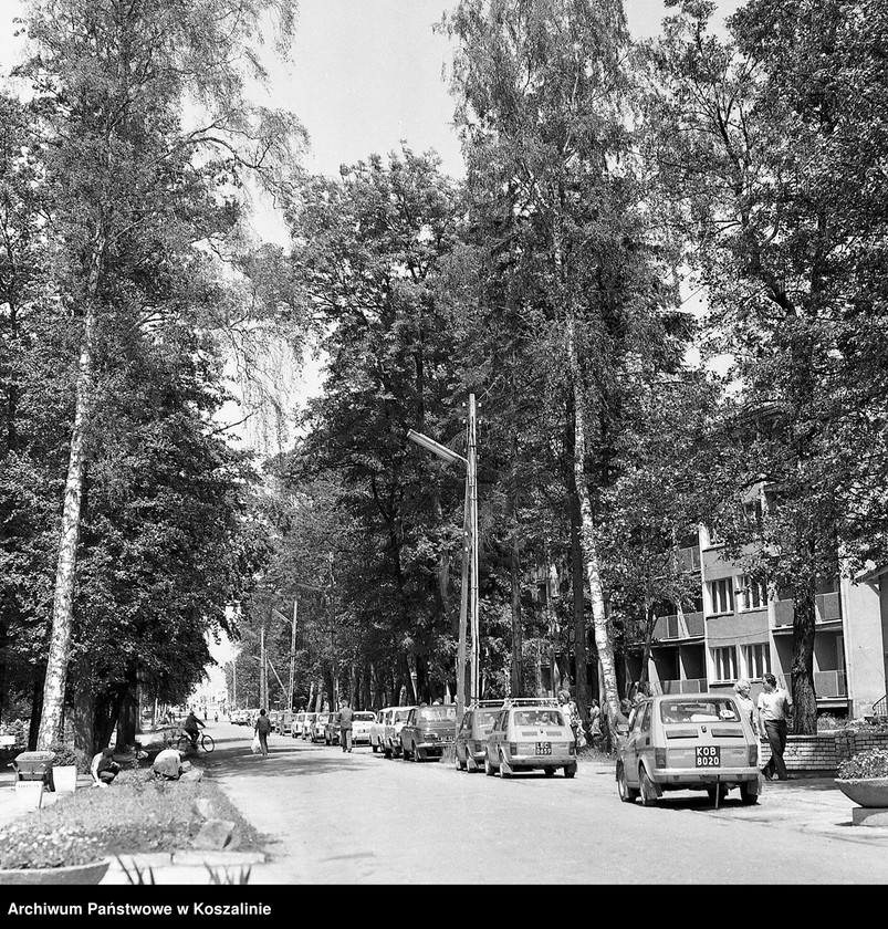 image.from.collection.number "Wakacje nad morzem111"