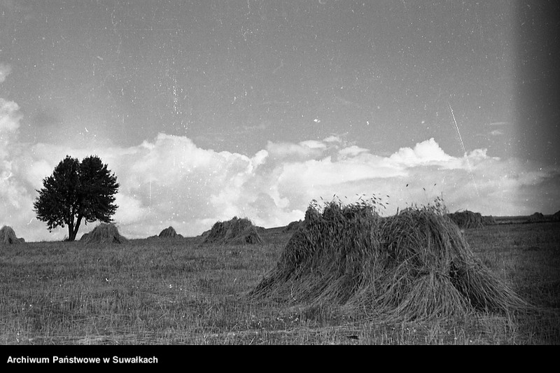 image.from.unit.number "Snopy słomy na polu."