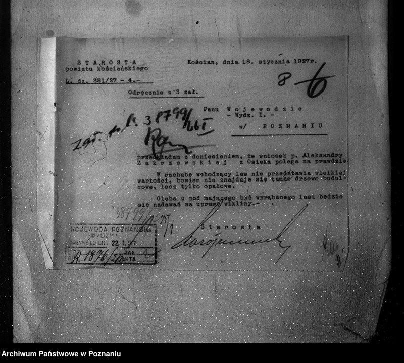 Obraz 12 z jednostki "Majętność leśna Osiek powiat kościański"