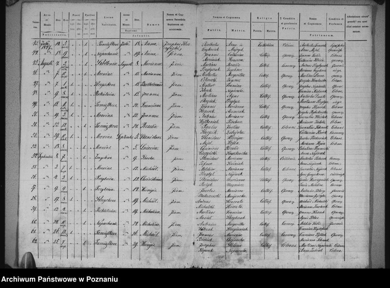 image.from.unit.number "Liber baptisatorum"