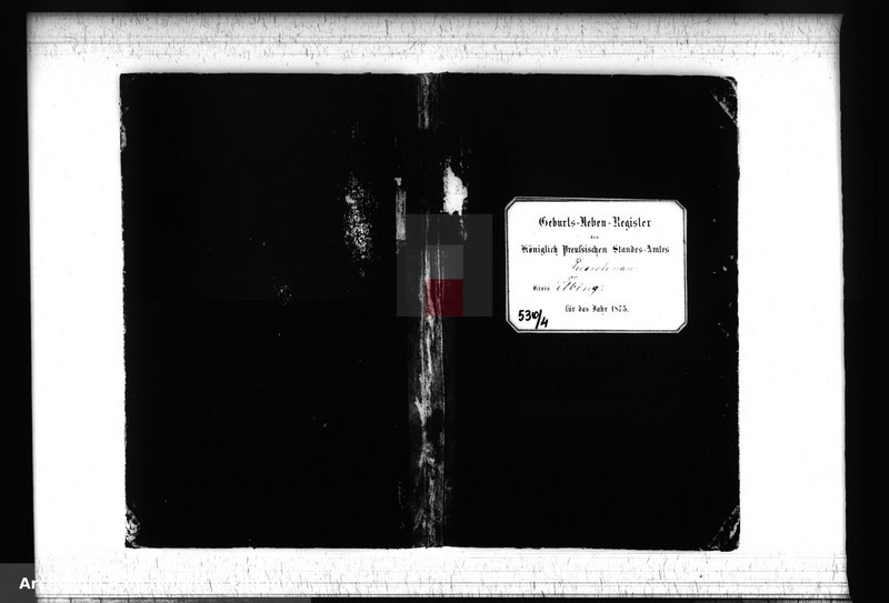 image.from.unit.number "Księga urodzeń 1875 rok"