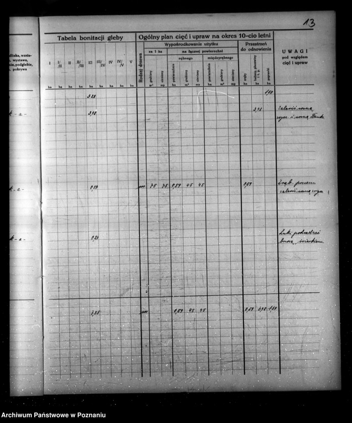 Obraz 17 z jednostki "Program urządzenia gospodarstwa leśnego dla lasu majątku Borowy-Młyn w powiecie międzychodzkim/"