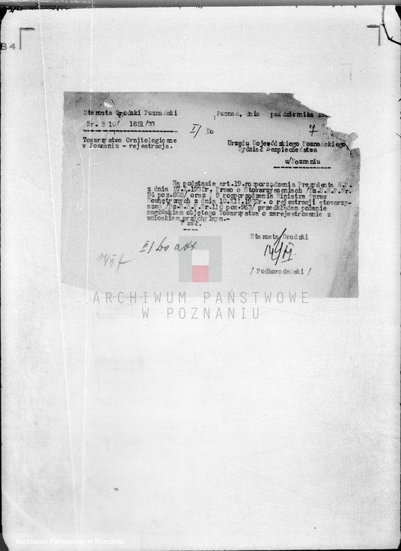 Obraz 13 z jednostki "/Towarzystwo Ornitologiczne w Poznaniu/"