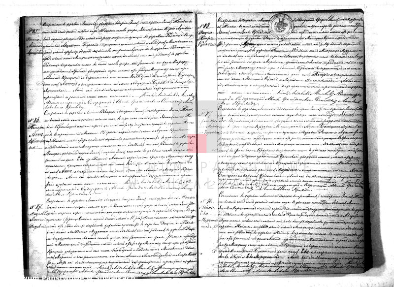 Obraz 19 z jednostki "Kniga Duplikat Rimsko- Katoličesko Liškovskago Prichoda na 1875 god"