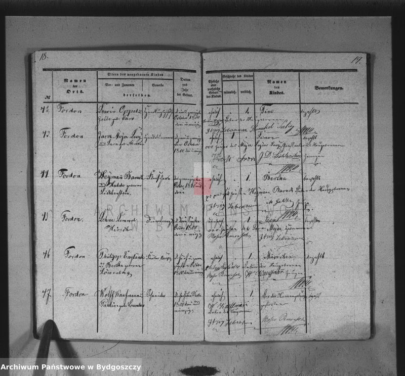 image.from.unit.number "Akta urodzeń"