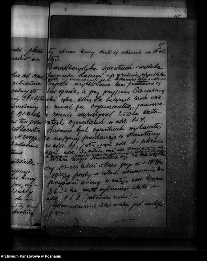 Obraz 9 z jednostki "Zatwierdzenie projektu planu gospodarczego dla lasu majątku Brudzew powiat turecki"