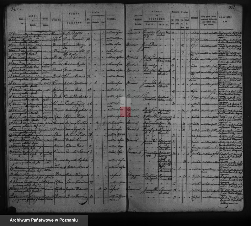 Obraz 19 z jednostki "Duplicat copulatorum, baptisatorum, mortuorum"