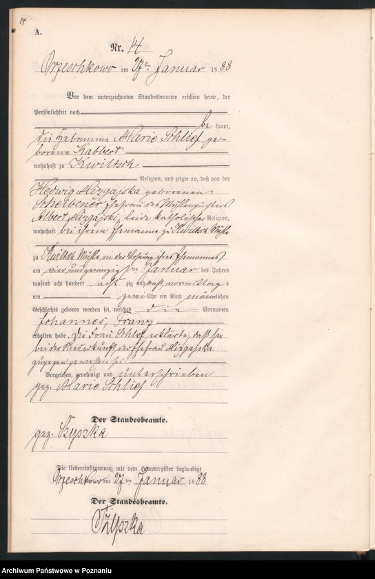 Obraz 17 z jednostki "Księga urodzeń"