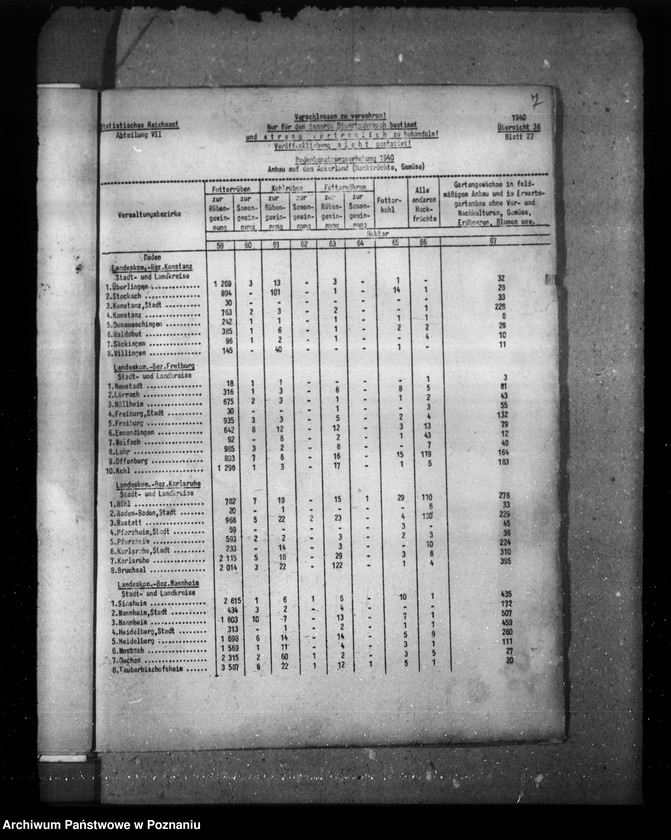 Obraz 11 z jednostki "Baden"