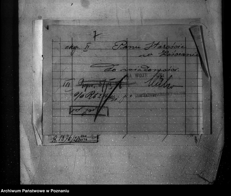 Obraz 11 z jednostki "Majętność leśna Osiek powiat kościański"