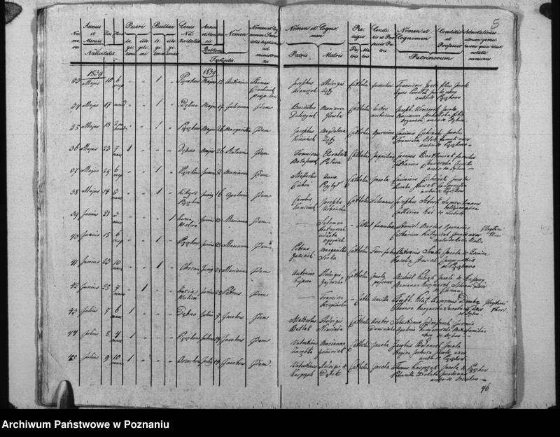 image.from.unit.number "Duplikat baptisatorum"