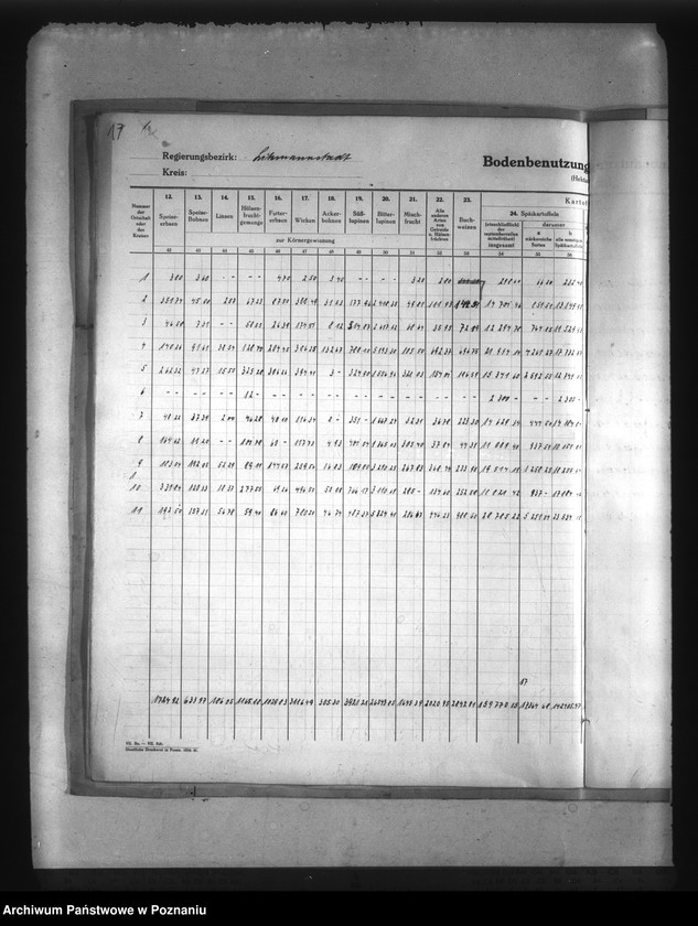 Obraz 20 z jednostki "Statystyka użytków rolnych w Kraju Warty"
