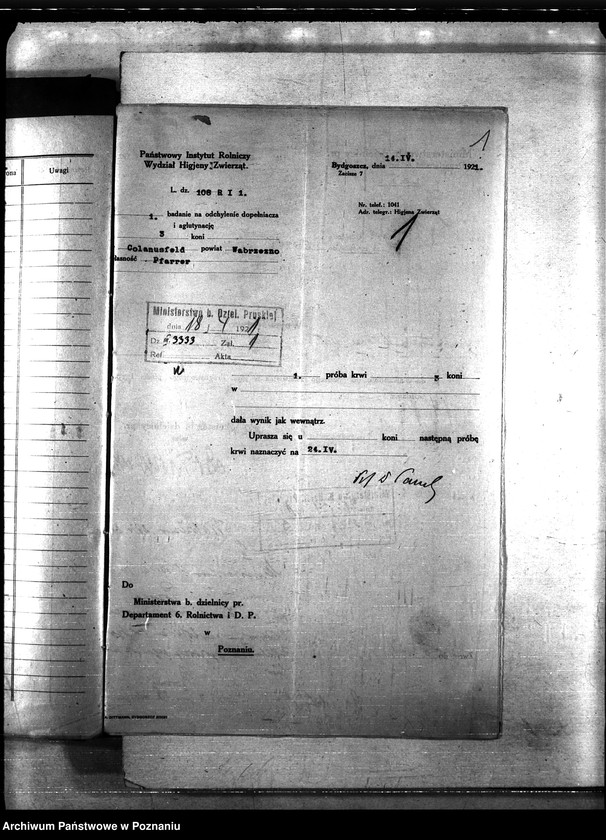 Obraz 5 z jednostki "Nosacizna - Wąbrzeźno"