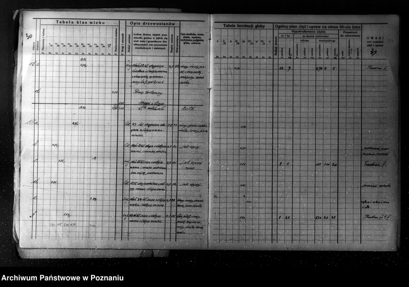 Obraz 20 z jednostki "/Plan urządzania gospodarstwa leśnego dla lasu majątku Turew powiatu kościańskiego 1933-1943/"