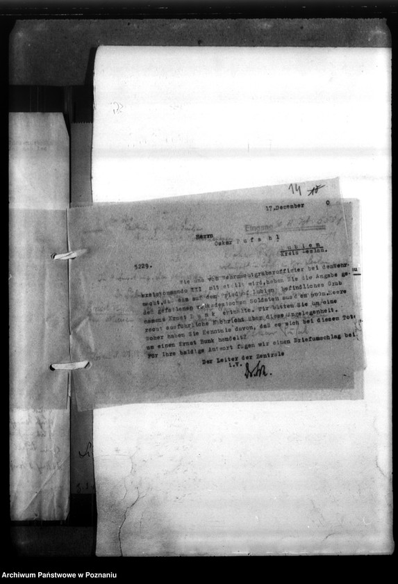 Obraz 18 z jednostki "Ernst Bunk aus Klein Rybno, Kreis Gnesen (Gniezno)"