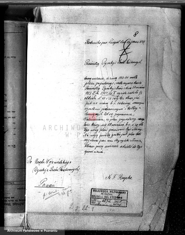 Obraz 12 z jednostki "Las parafialny kościoła w Radomicku powiat kościański"