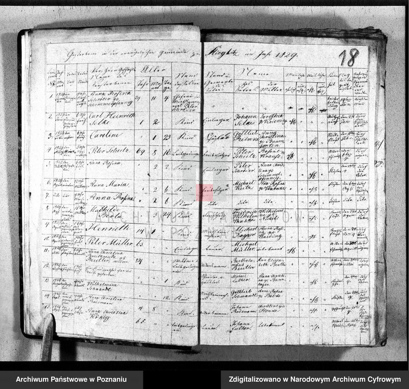 image.from.unit.number "Księga małżeństw, urodzeń i zgonów"