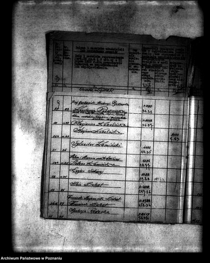 Obraz 13 z jednostki "/Scalenie gruntów we wsi Lądek powiatu konińskiego/"