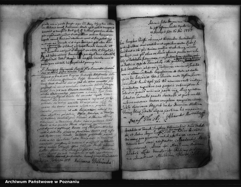 Obraz 16 z jednostki "Inscriptiones, resignationes [protocollon]"