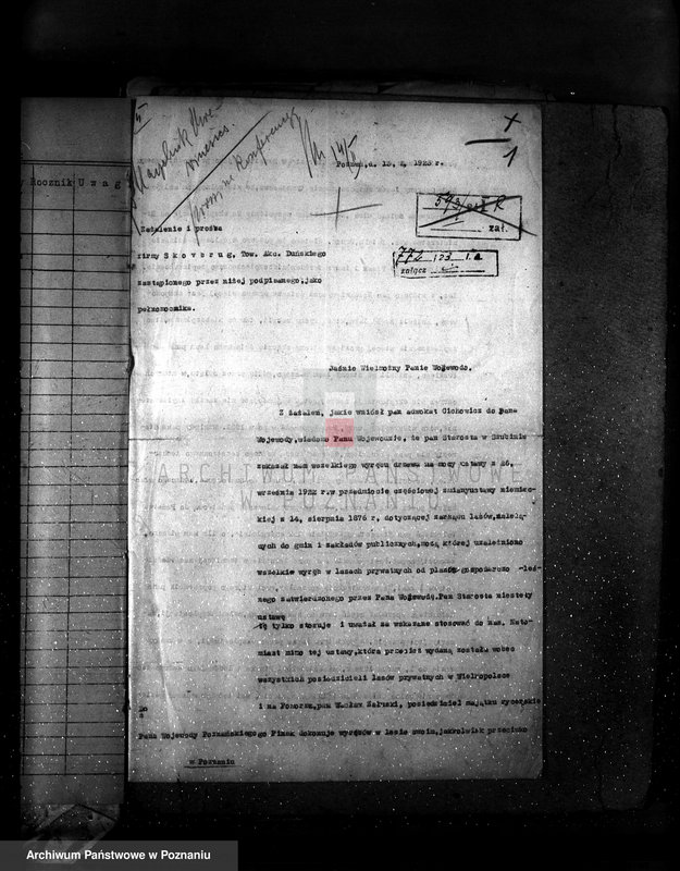 Obraz 5 z jednostki "Majętność leśna Pińsko powiat szubiński"