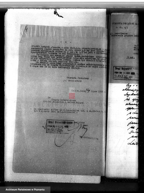 Obraz 8 z jednostki "Majętność /leśna/ Olesiec-Chocz powiat koniński"