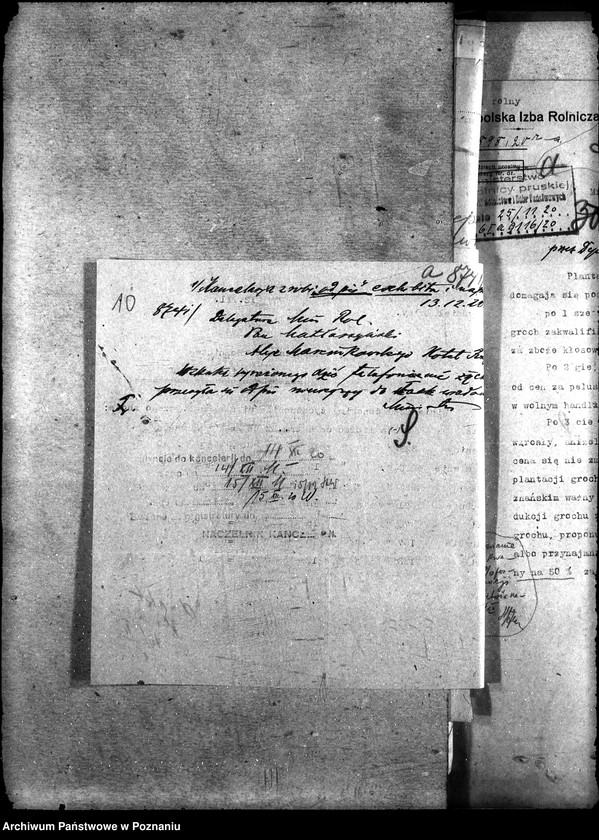 Obraz 14 z jednostki "Sprawy ogólno-administracyjne Zboże siewne"