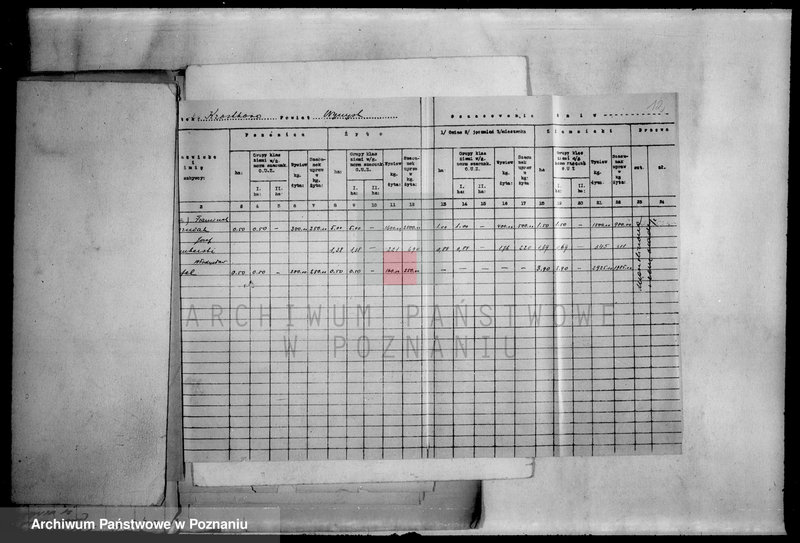 Obraz 16 z jednostki "Operat szacunkowy majątku Krostkowo powiatu wyrzyskiego"