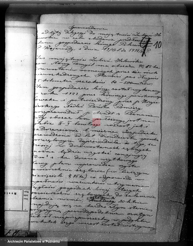 Obraz 14 z jednostki "/Nadzór nad gospodarką w lasach majątku Lubień-Helowskie w powiecie nowotomyskim"