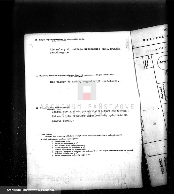 Obraz 8 z jednostki "Kwestionariusz Gazownia Miejska w Borku pow. Gostyń"