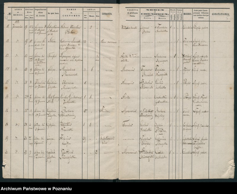 Obraz 5 z jednostki "Księga zgonów"