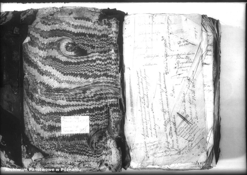 Obraz 3 z jednostki "Relationes [protocollon]"