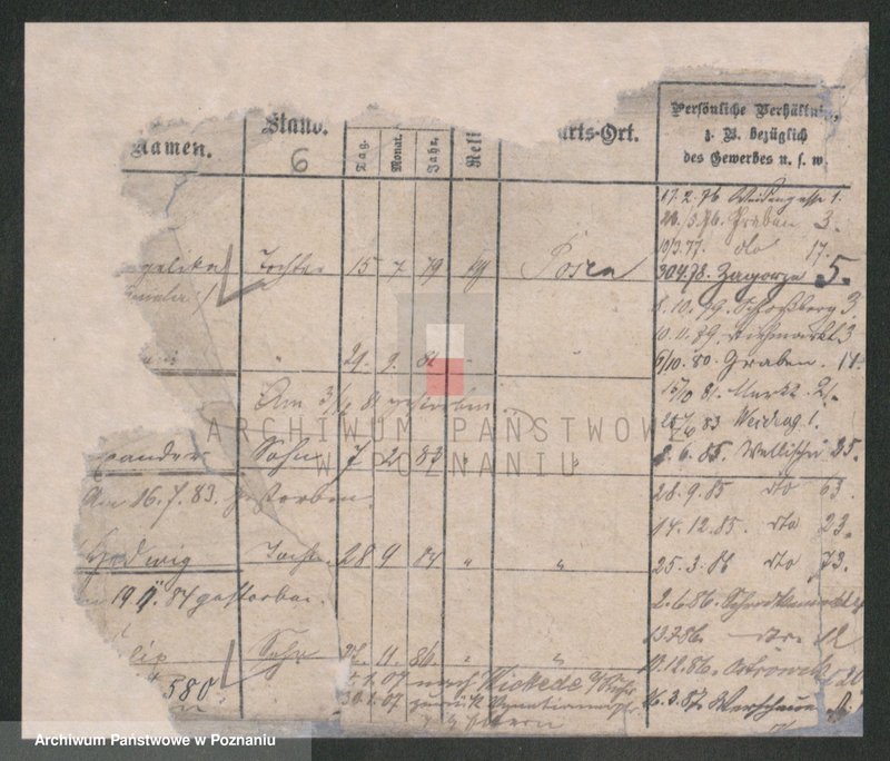 Obraz 6 z jednostki "Kujawiak - Kulas"