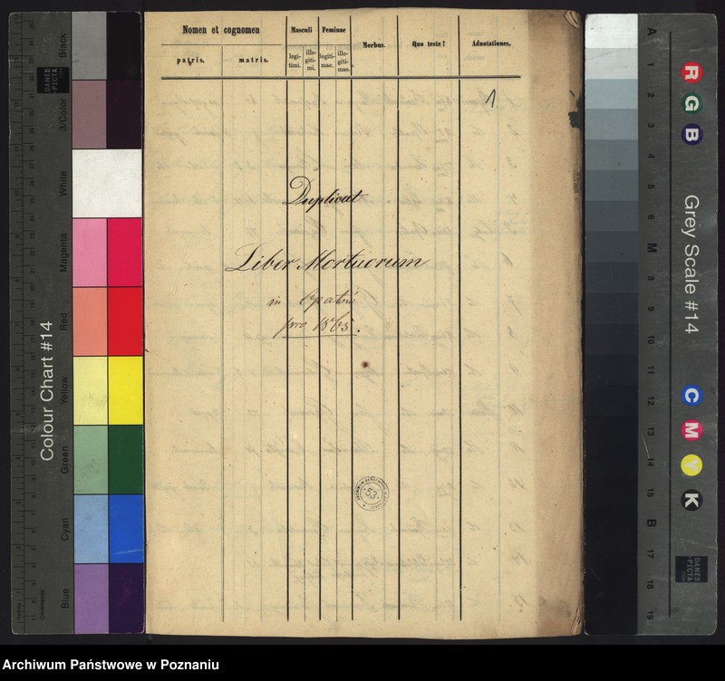 Obraz 3 z jednostki "Duplikat zmarłych"