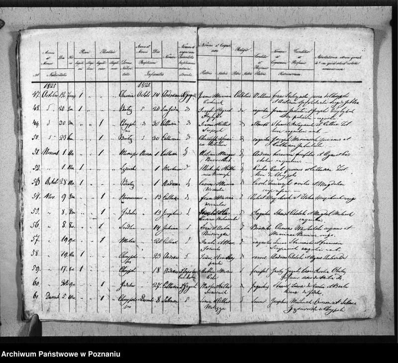 Obraz 10 z jednostki "Duplikat baptisatorum, copulatorum, mortuorum"