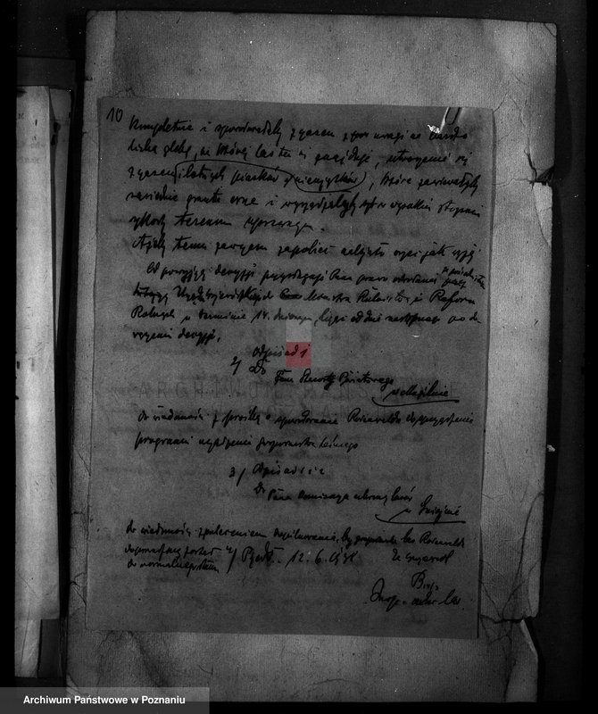 Obraz 14 z jednostki "Krzywekolano powiat mogileński /las Juliuszy Rodenwalda/"