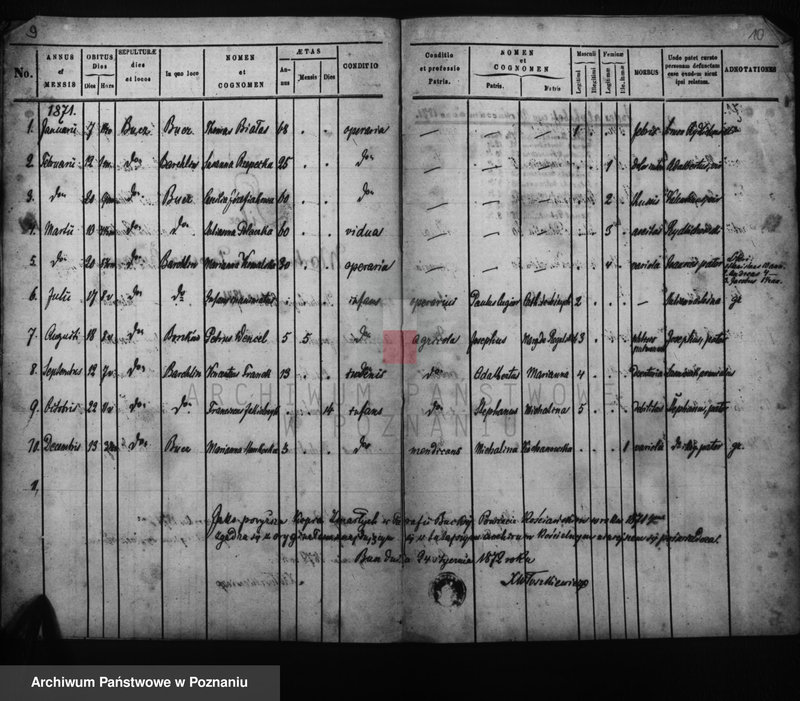 Obraz 11 z jednostki "Duplicati baptisatorum, copulatorum, mortuorum"