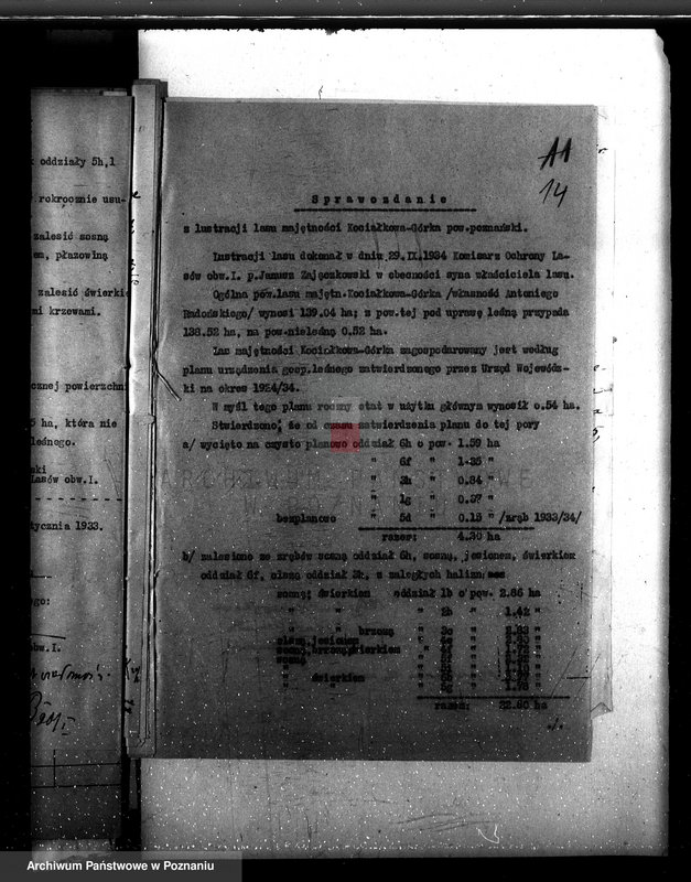 Obraz 18 z jednostki "Majętność leśna Kociałkowo powiat poznański"