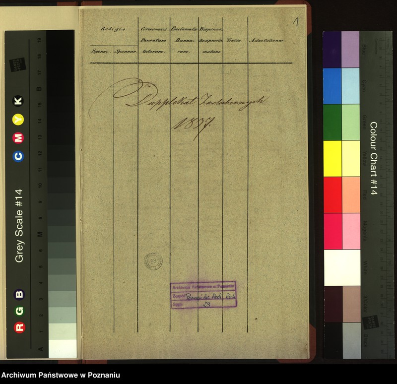 Obraz 3 z jednostki "Duplikat zaślubionych"