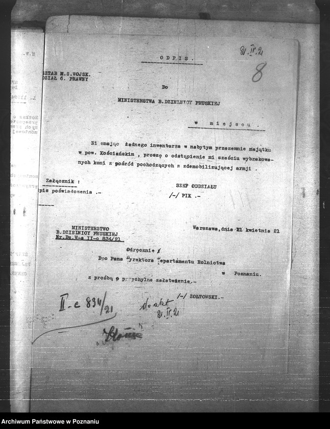 Obraz 12 z jednostki "Konie"