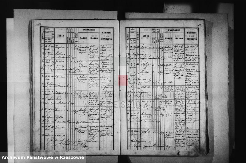 image.from.unit.number "Księga urodzeń - Łąka"