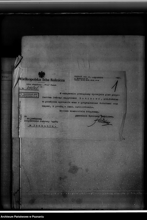 Obraz 5 z jednostki "Majętność leśna Bonikowo powiat kościański"