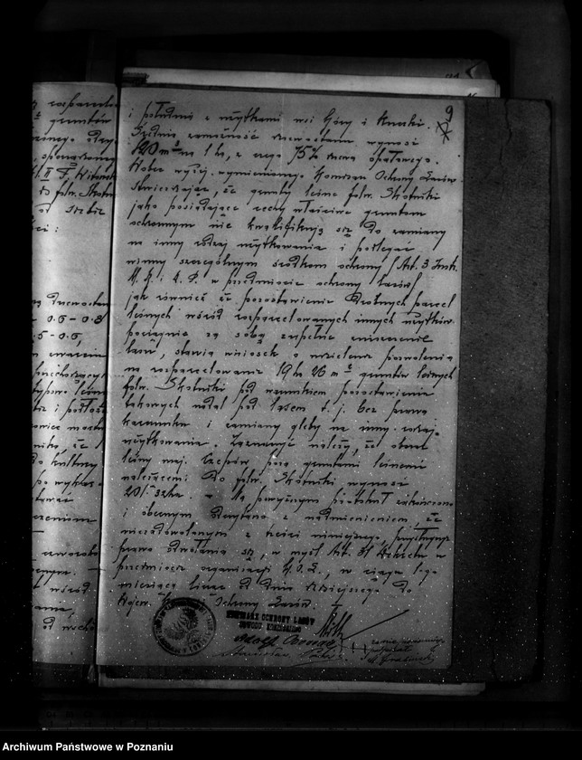 Obraz 14 z jednostki "Sprawa zatwierdzenia projektu planu gospodarstwa leśnego dla lasu majątku Czepów-Dolny powiat turecki"