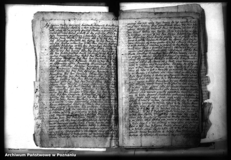 Obraz 5 z jednostki "Lauda [acticantia]"