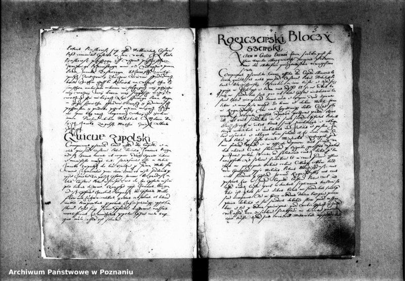 Obraz 9 z jednostki "Inscriptiones, relationes, decreta officii [inducta]"