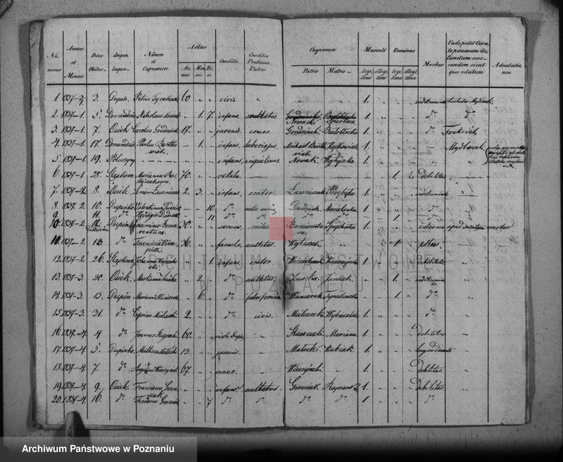 Obraz 16 z jednostki "Duplikat baptisatorum, copulatorum, mortuorum"