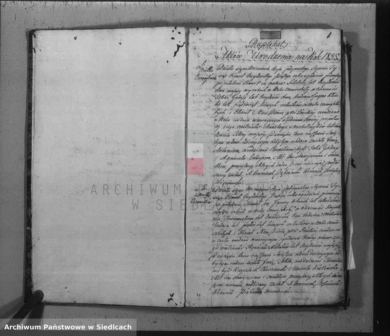 Obraz z jednostki "[Akta urodzeń, małżeństw, zgonów]"