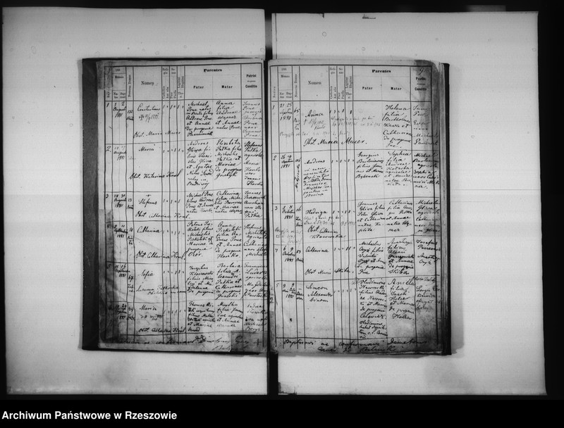 image.from.unit.number "Księga urodzeń Biała, Matysówka, Zalesie Drabinianka, Rzeszów, Tyczyn"