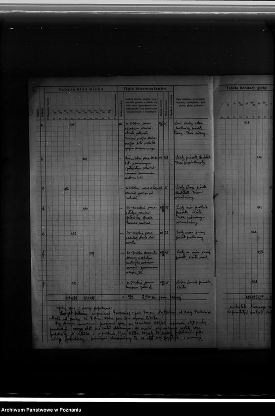 Obraz 7 z jednostki "Program urządzenia gospodarstwa leśnego dla lasu Helbiga Willyego w gminie"