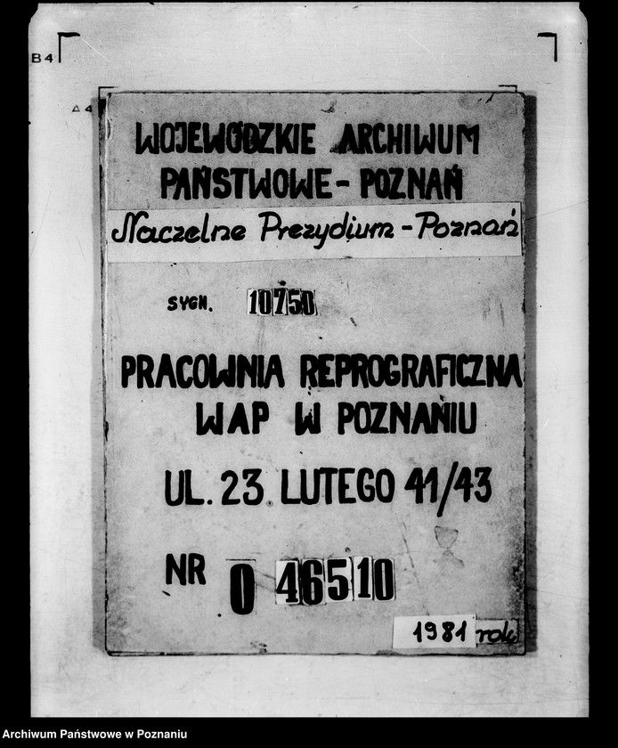 Obraz 20 z jednostki "Die für die Witwe des verstorbenen Regierungssekrätars Ziegler nachgesuchte Pension oder fortdauernde Unterstützung."